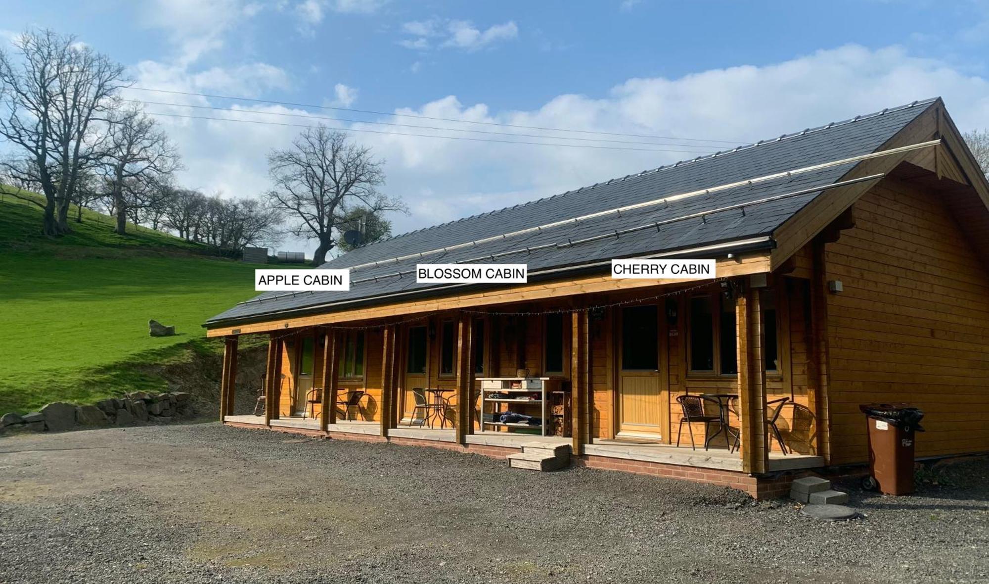 Cherry Cabin - Little Log Cabin In Wales Bettws Cedewain Exteriér fotografie